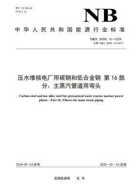 NB/T 20005.16-2024预览图