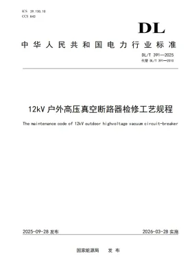DL/T 391-2025预览图