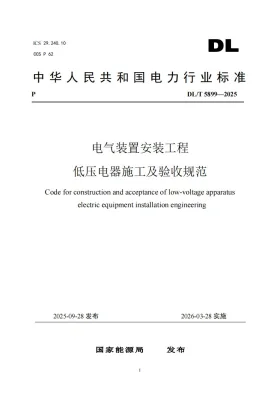 DL/T 5899-2025预览图