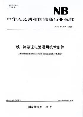 NBT11489-2024预览图