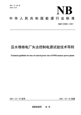 NB/T 20583-2021预览图