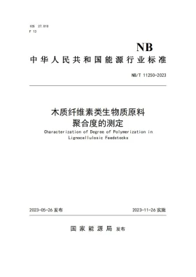 NB/T 11250-2023预览图