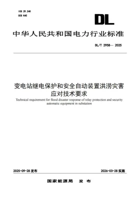 DL/T 2958-2025预览图