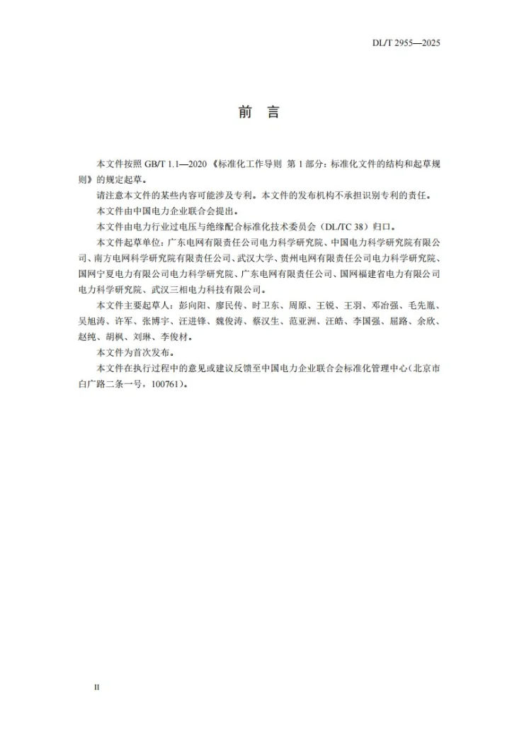 DL/T 2955-2025 雷电地闪数据防雷应用技术导则第3页预览图
