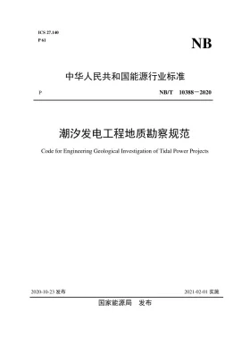 NB/T 10388-2020预览图