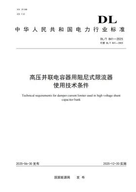 DL/T 841-2025预览图