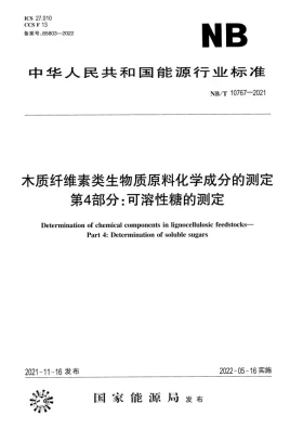 NB/T 10767-2021预览图