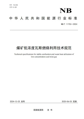 NB/T 11753-2024预览图