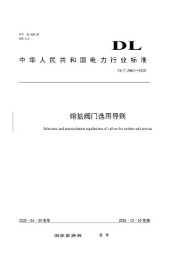 DL/T 2882-2025预览图