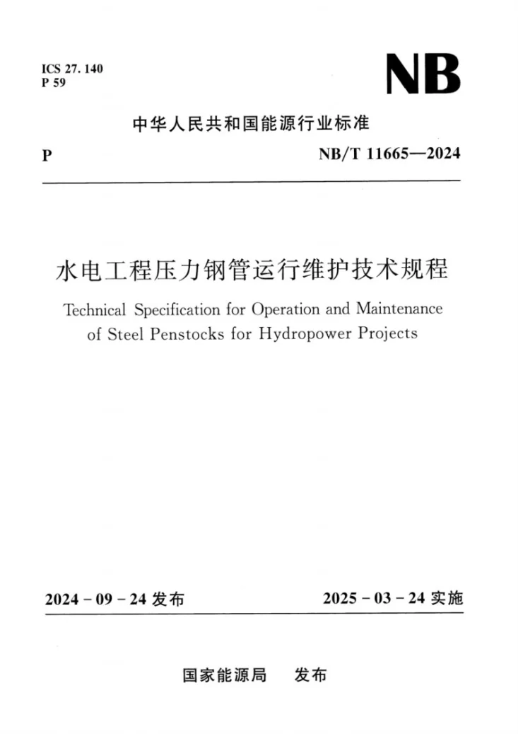 NB/T 11665-2024 水电工程压力钢管运行维护技术规程第1页预览图