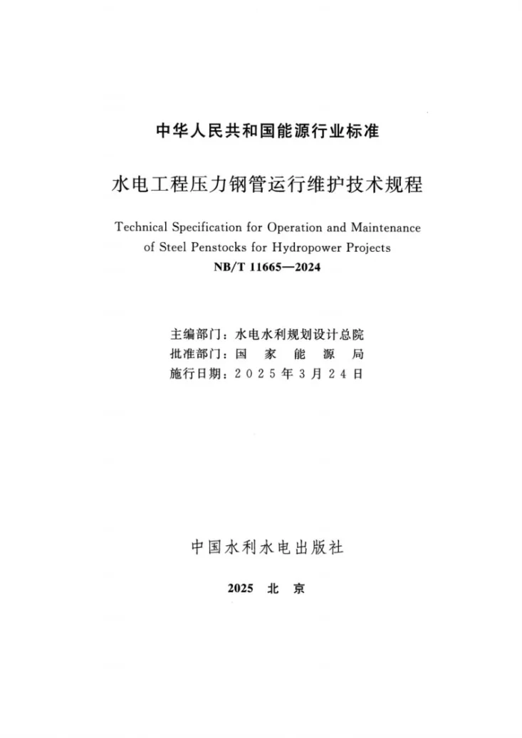 NB/T 11665-2024 水电工程压力钢管运行维护技术规程第2页预览图