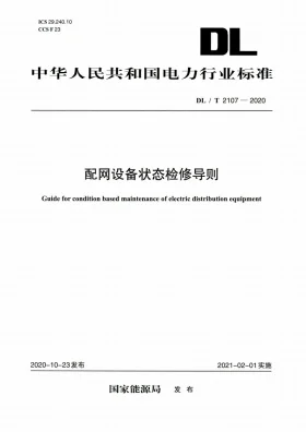 DL/T 2107-2020预览图