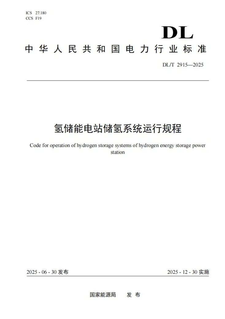 DL/T 2915-2025 氢储能电站储氢系统运行规程第1页预览图