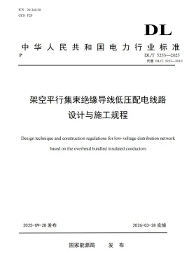 DL/T 5253-2025预览图