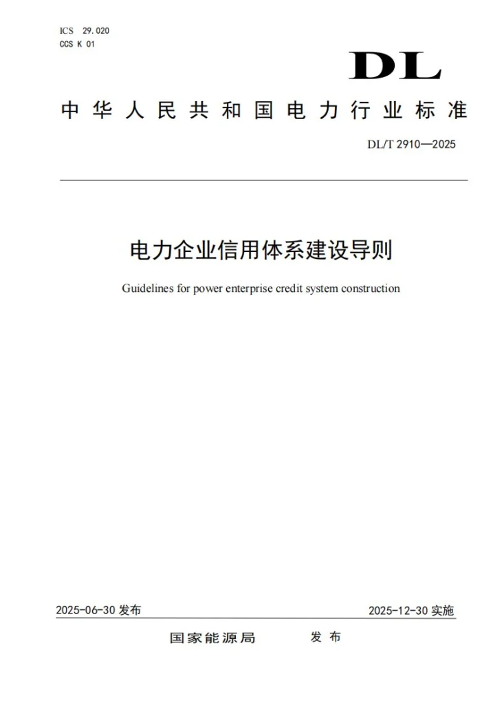 DL/T 2910-2025 电力企业信用体系建设导则第1页预览图