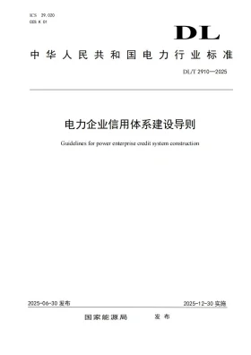 DL/T 2910-2025预览图