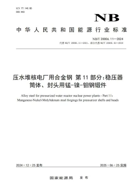 NB/T 20006.11-2024预览图