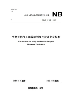 NB/T 11102-2023预览图