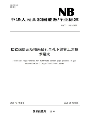 NB/T 11941-2025预览图