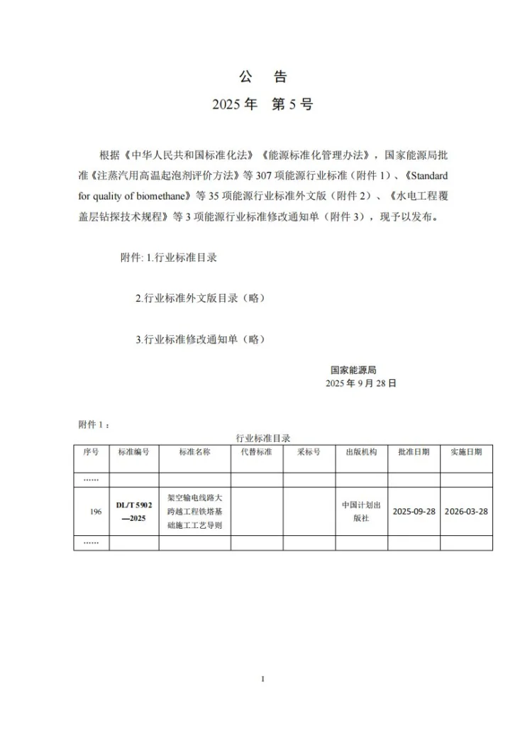 DL/T 5902-2025 架空输电线路大跨越工程铁塔基础施工工艺导则第3页预览图