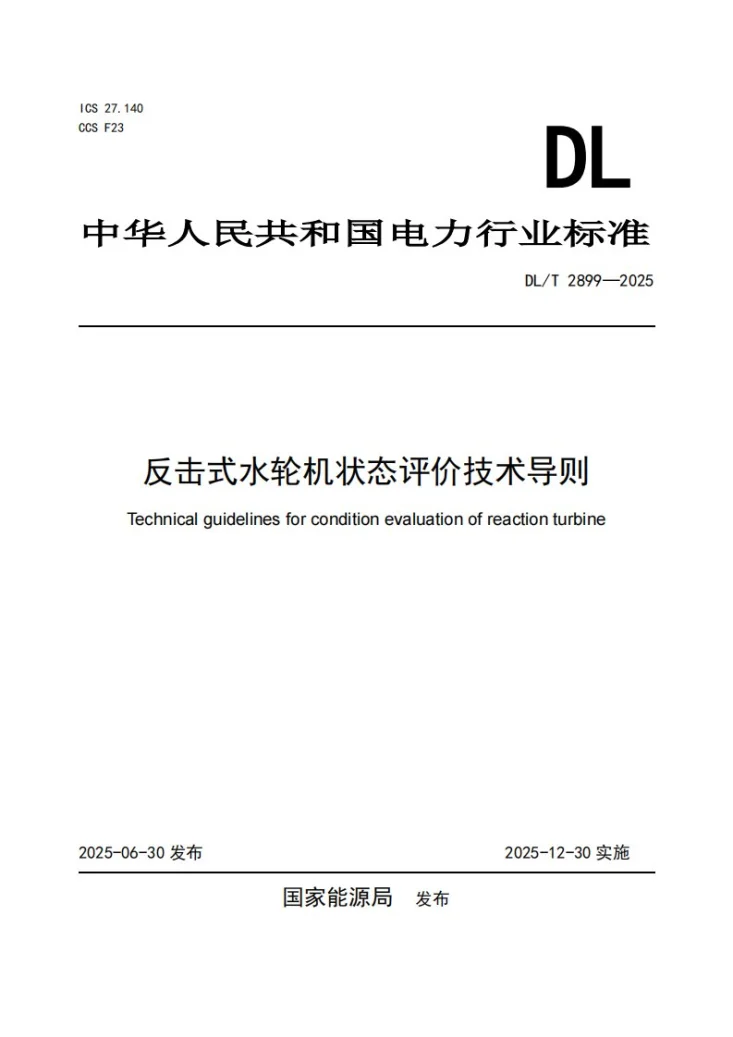 DL/T 2899-2025 反击式水轮机状态评价技术导则第1页预览图