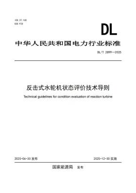 DL/T 2899-2025预览图