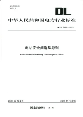 DL/T 2489-2022预览图