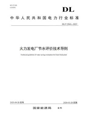 DL/T 2960-2025预览图