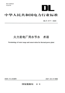 DL/T 2171-2020预览图
