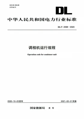 DL/T 2098-2020预览图