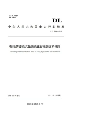 DL/T 2884-2025预览图