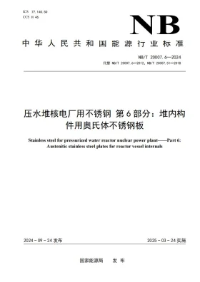 NB/T 20007.6-2024预览图