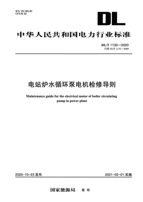 DL/T 1132-2020预览图