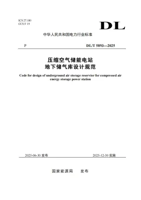 DL/T 5893-2025预览图