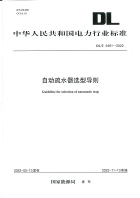DL/T 2491-2022预览图