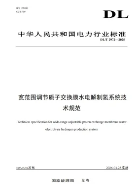 DL/T 2972-2025预览图