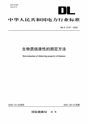 DL/T 2147-2020预览图