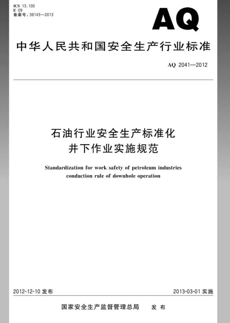 AQ 2041-2012 石油行业安全生产标准化 井下作业实施规范第1页预览图
