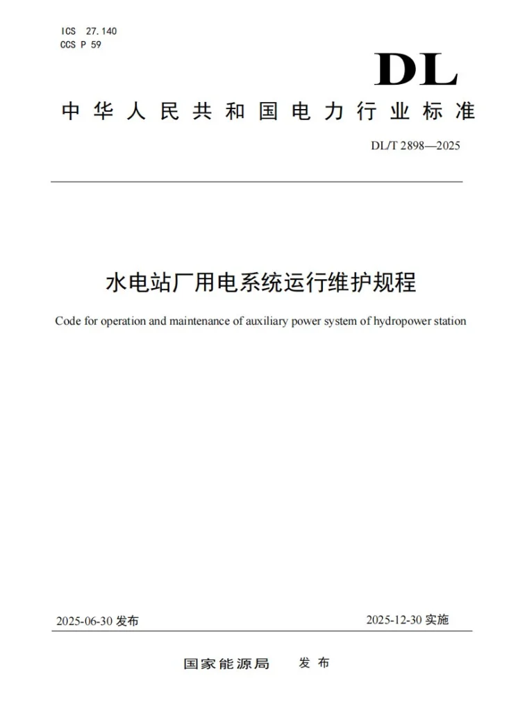 DL/T 2898-2025 水电站厂用电系统运行维护规程第1页预览图
