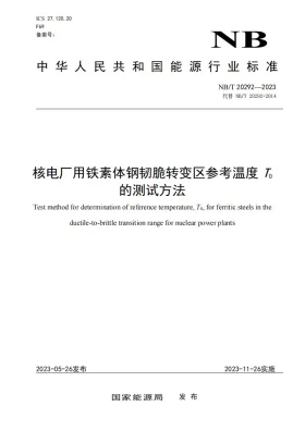 NB/T 20292-2023预览图