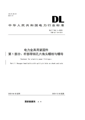 DL/T 764.1-2025预览图