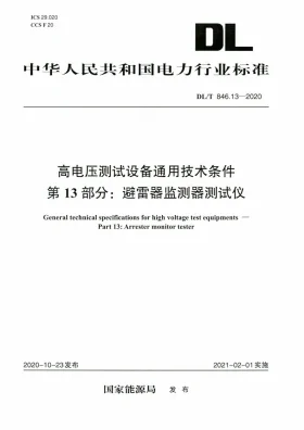 DL/T 846.13-2020预览图