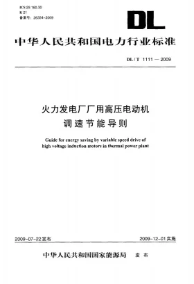 DL/T 1111-2009预览图