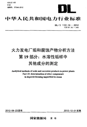 DL/T 1151.19-2012预览图