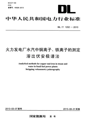 DL/T 1202-2013预览图