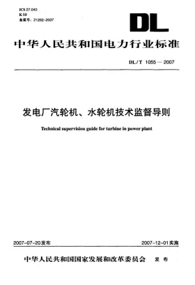DL/T 1055-2007预览图