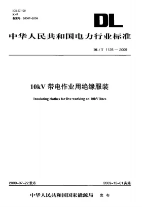 DL/T 1125-2009预览图