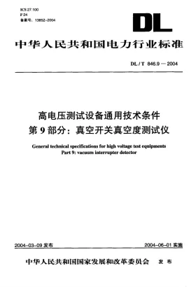 DL/T 846.9-2004预览图