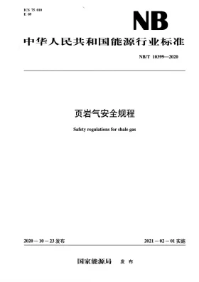 NB/T 10399-2020预览图