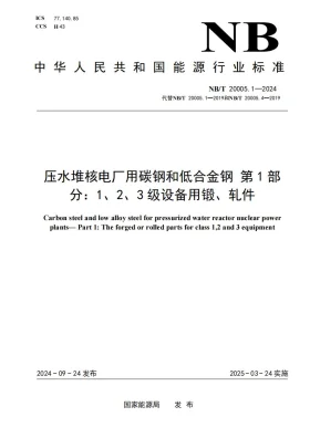 NB/T 20005.1-2024预览图